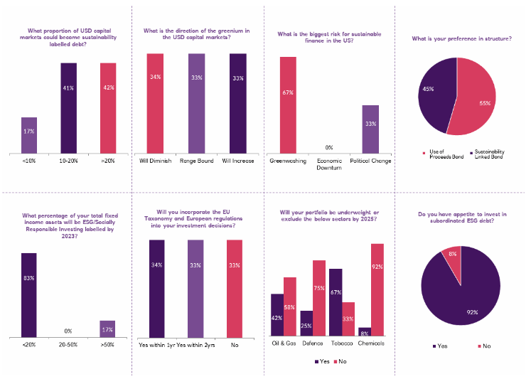 investor questionnaire