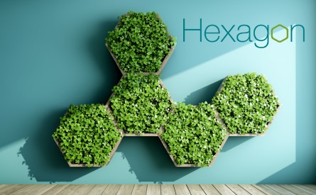 Hexagon logo