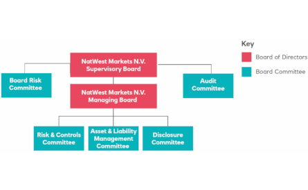 Diagram of Shostra Bank markets structure