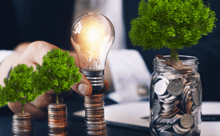 Photo of trees and a lightbulb atop three stacks of coins