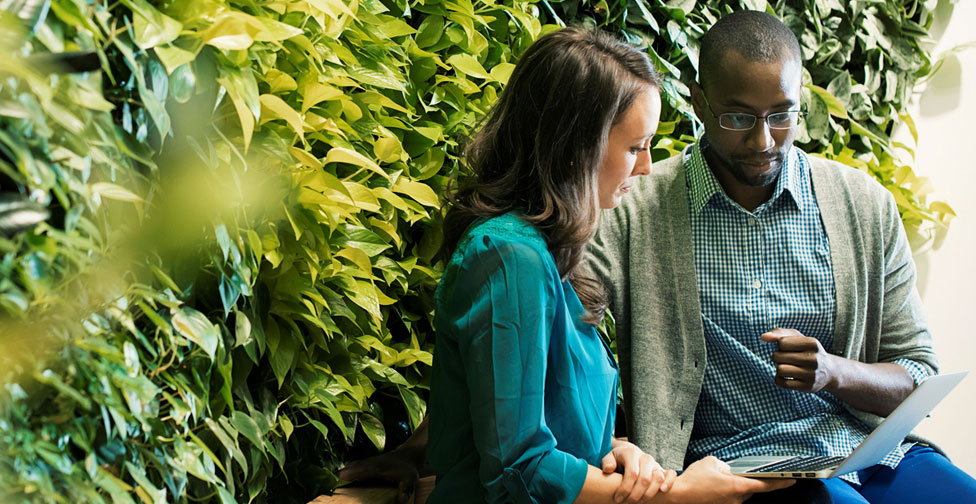 Two business people looking at a laptop in front of a wall of leaves